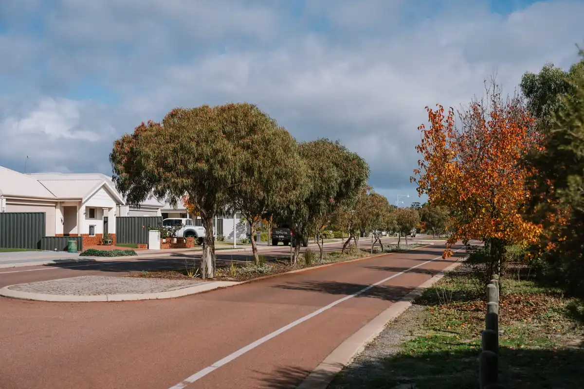 Residential Street lined with trees.